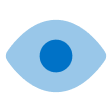 Vision Icon